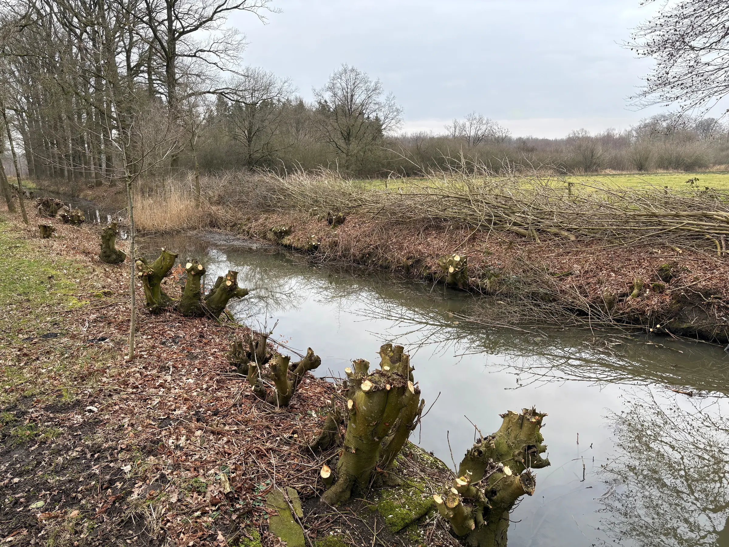 profi-groenbeheer-24