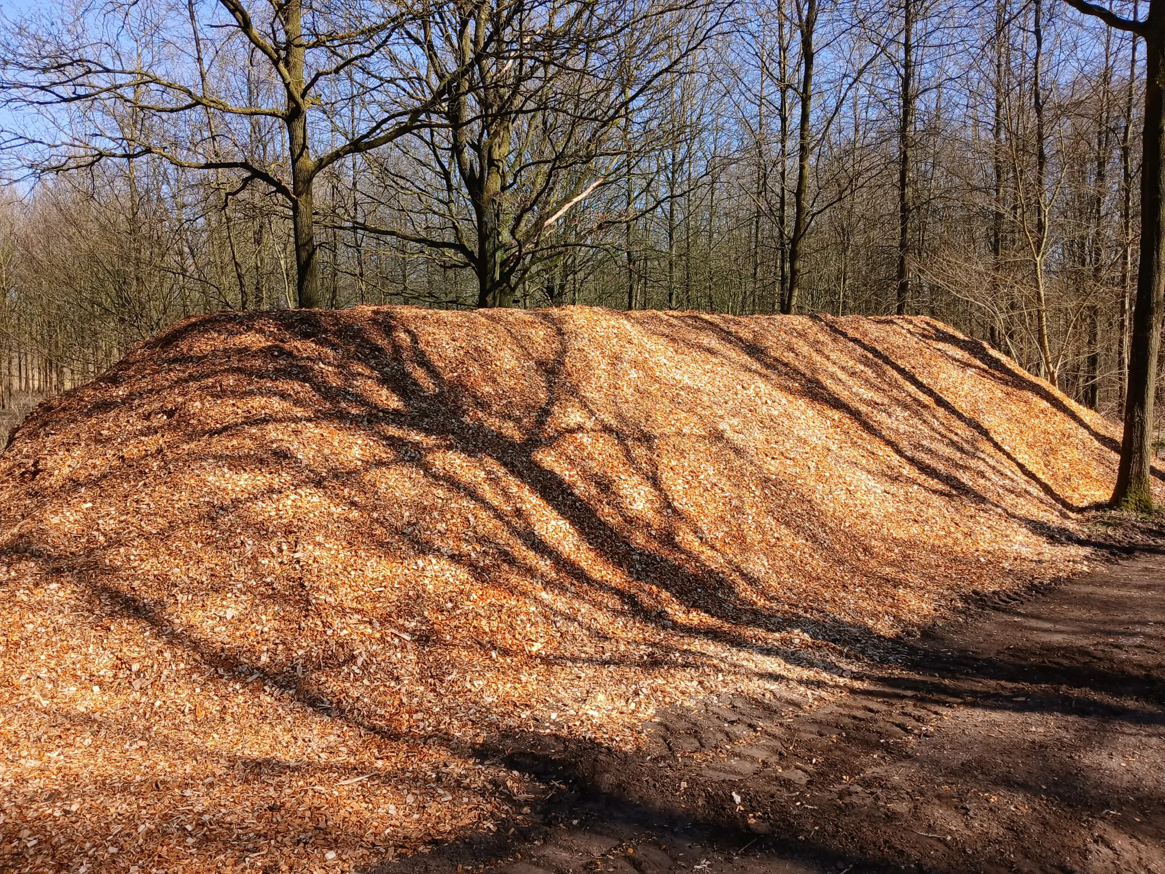 profi-groenbeheer-30