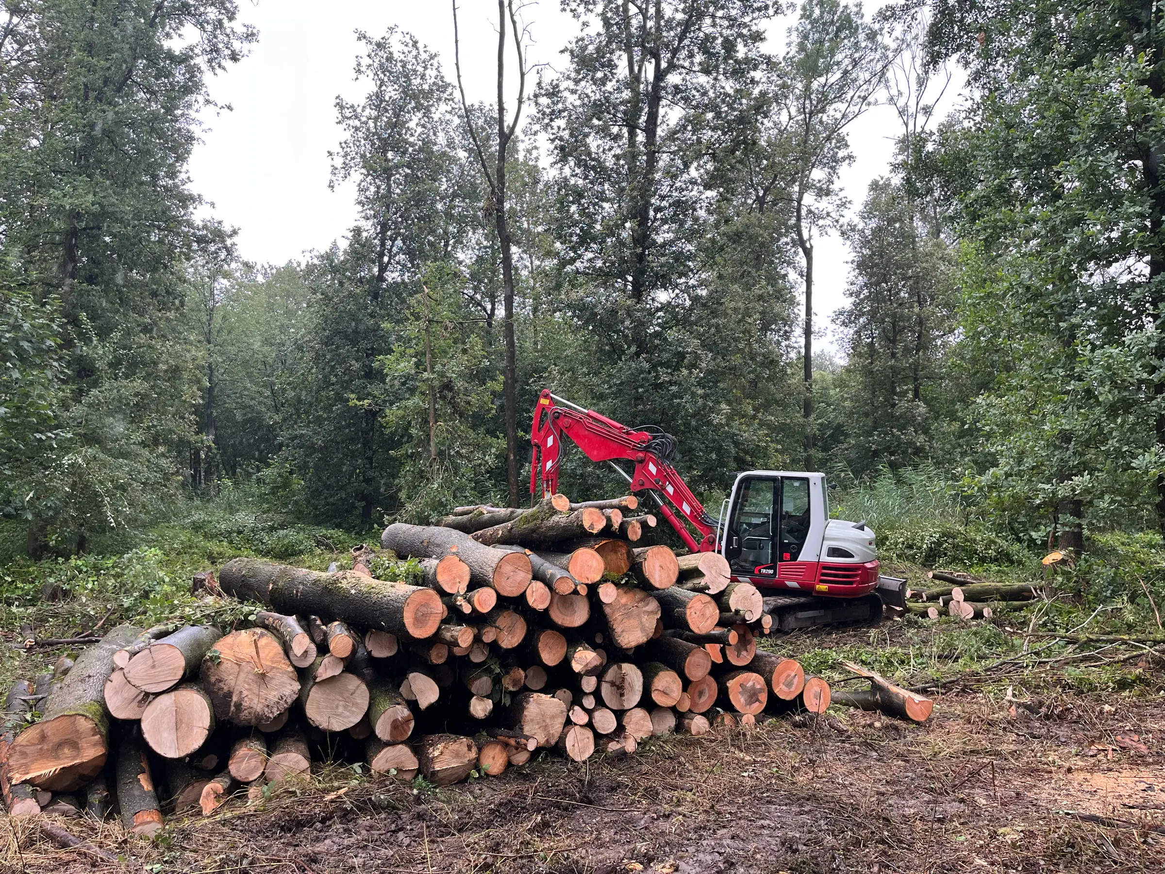 profi-groenbeheer-46